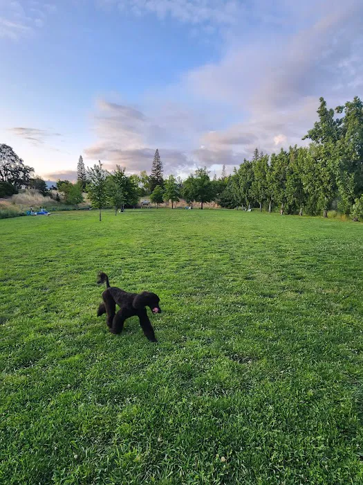 Marco Dog Park 3