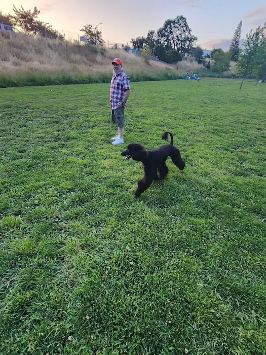 Marco Dog Park 5
