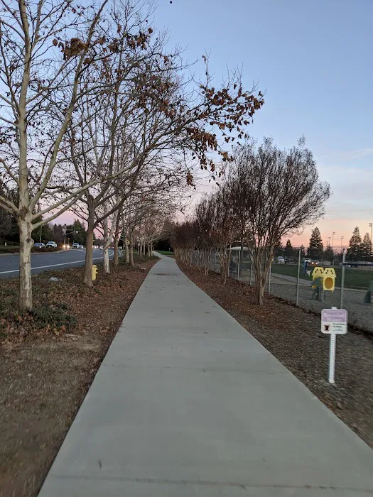 Bear Dog Park 1