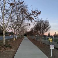 Bear Dog Park ico