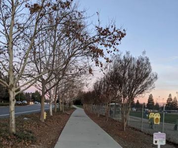 Bear Dog Park