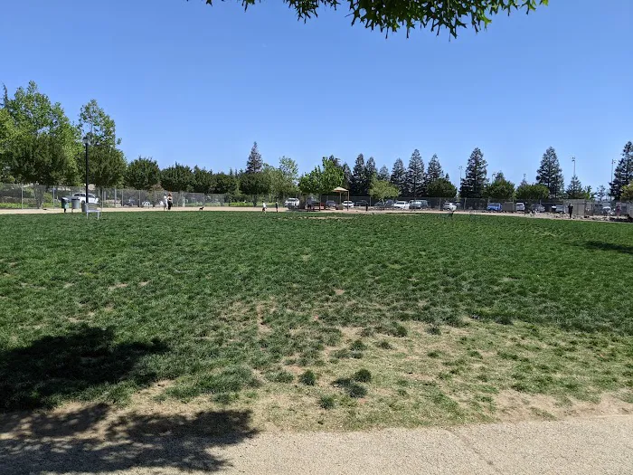 Bear Dog Park 8