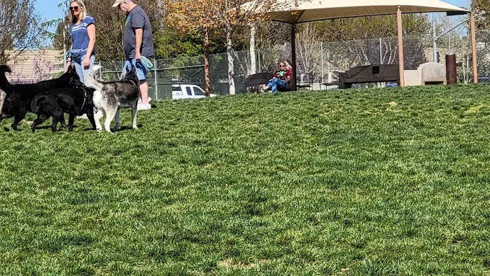 Bear Dog Park 5