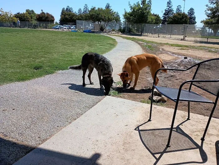 Bear Dog Park 6
