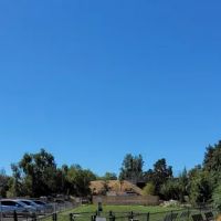 Cannery Dog Park ico