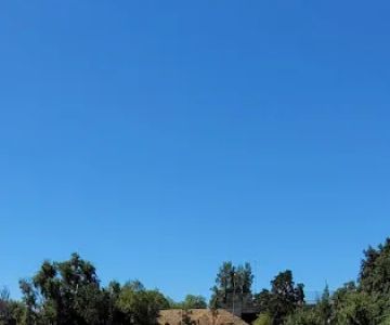 Cannery Dog Park