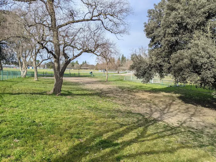Davis Community Park Fenced Dog Area 1
