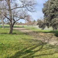 Davis Community Park Fenced Dog Area ico