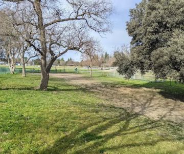 Davis Community Park Fenced Dog Area