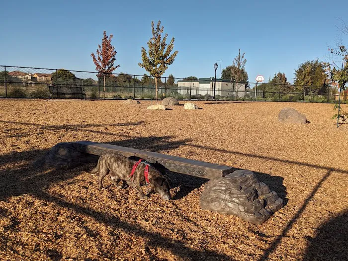 Jack Slaven Dog Park 3