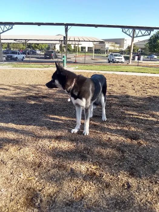 Woodland Off Leash Dog Park 6