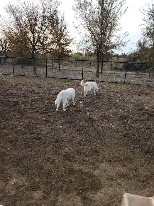 Woodland Off Leash Dog Park 8