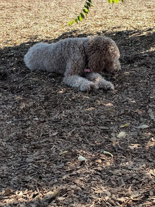 Woodland Off Leash Dog Park 7