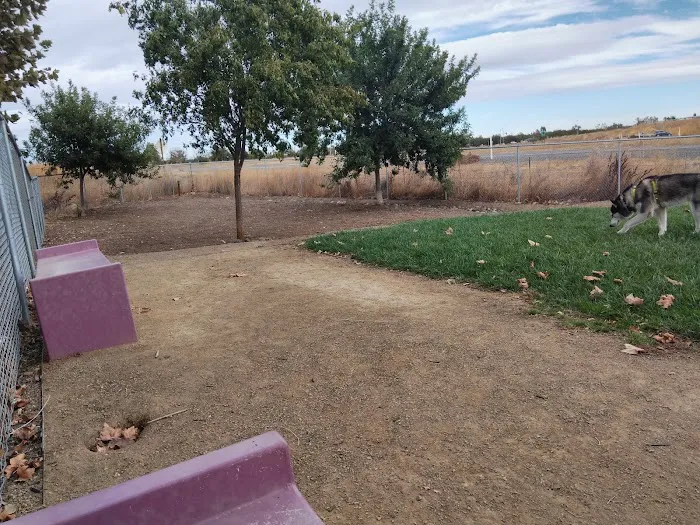 Willow Canal Dog Park 2