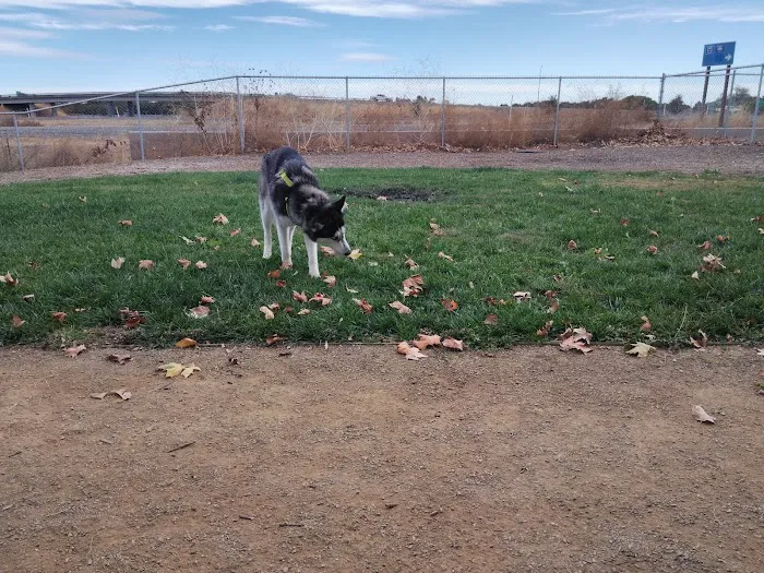Willow Canal Dog Park 1