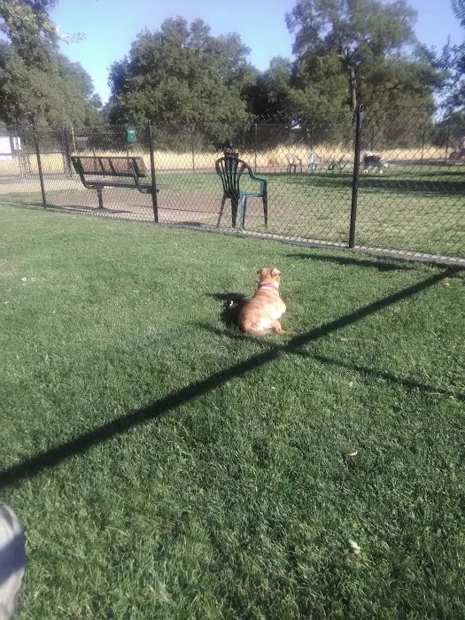 Hughes Park Off Leash Dog Park 7