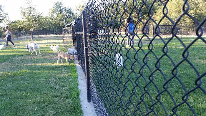 Hughes Park Off Leash Dog Park 10