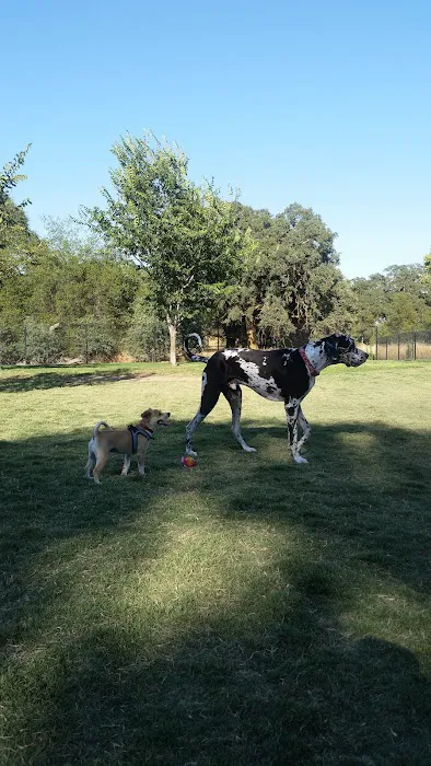 Hughes Park Off Leash Dog Park 9