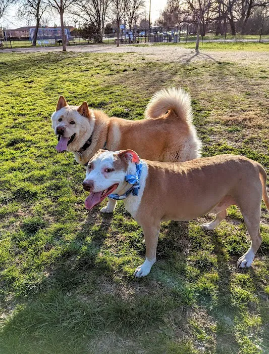 Hughes Park Off Leash Dog Park 5