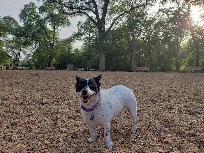 RRUFF Dog Park 6