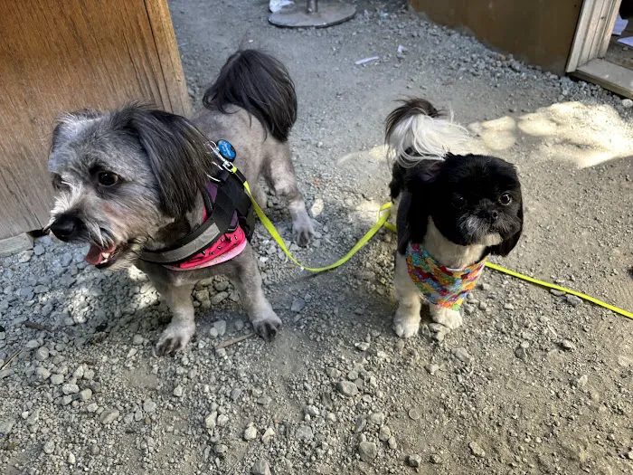 RRUFF Dog Park 4