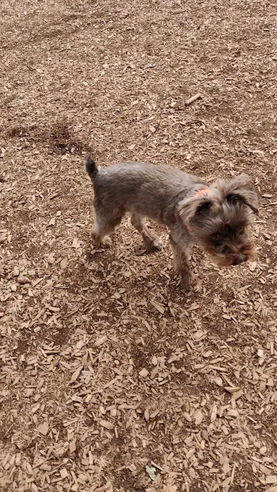 RRUFF Dog Park 9