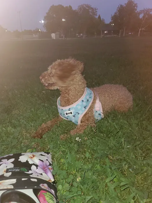 RRUFF Dog Park 8