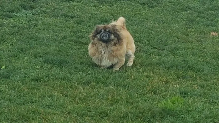 FIDO Field 10
