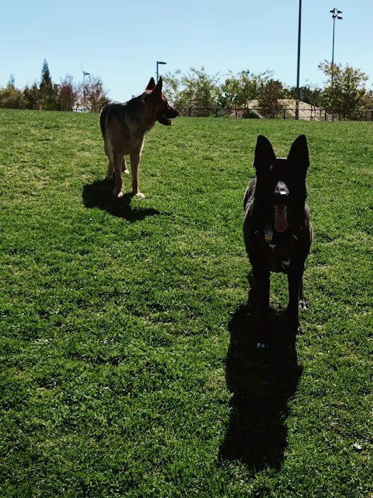 FIDO Field 6
