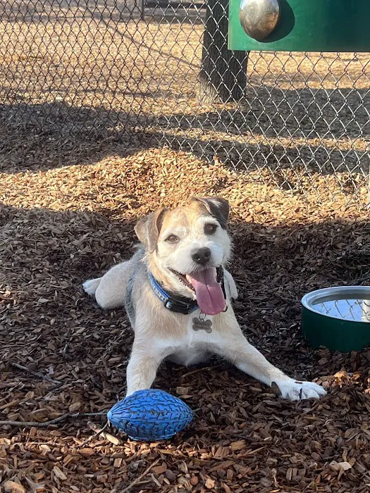 El Dorado Hills CSD Community Dog Park 8