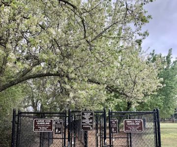 El Dorado Hills CSD Community Dog Park