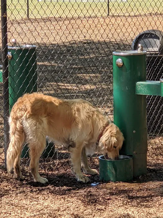 El Dorado Hills CSD Community Dog Park 4