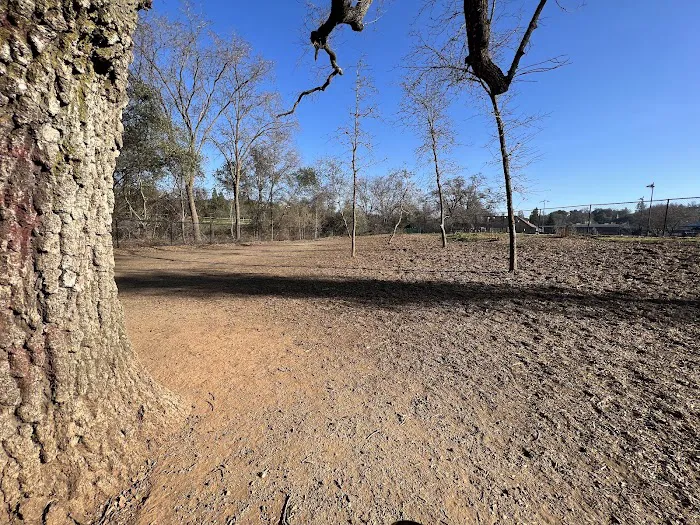 El Dorado Hills CSD Community Dog Park 3
