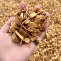Lincoln Bark Park ico