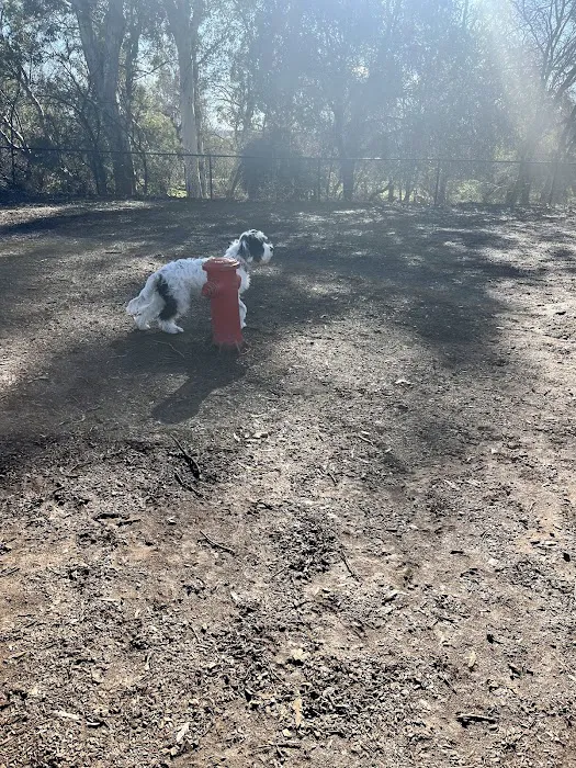 Lincoln Bark Park 3