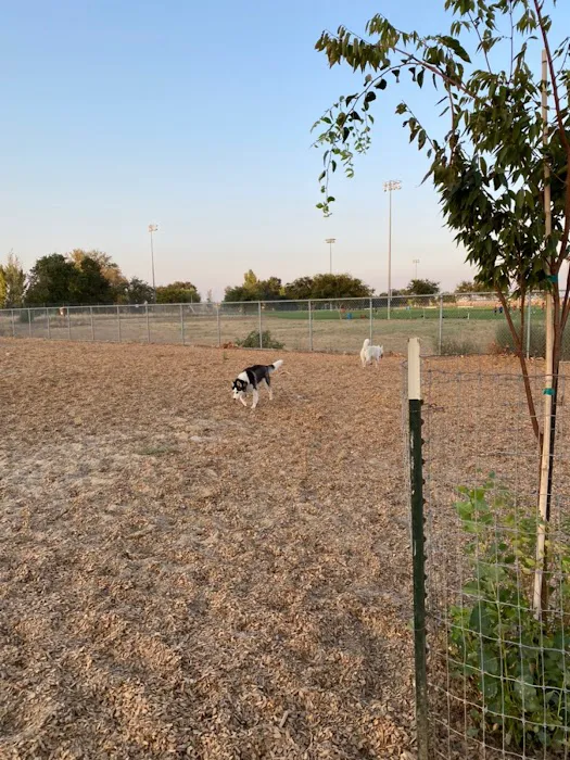 Centennial Dog Park 1