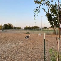 Centennial Dog Park ico