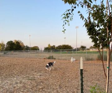 Centennial Dog Park