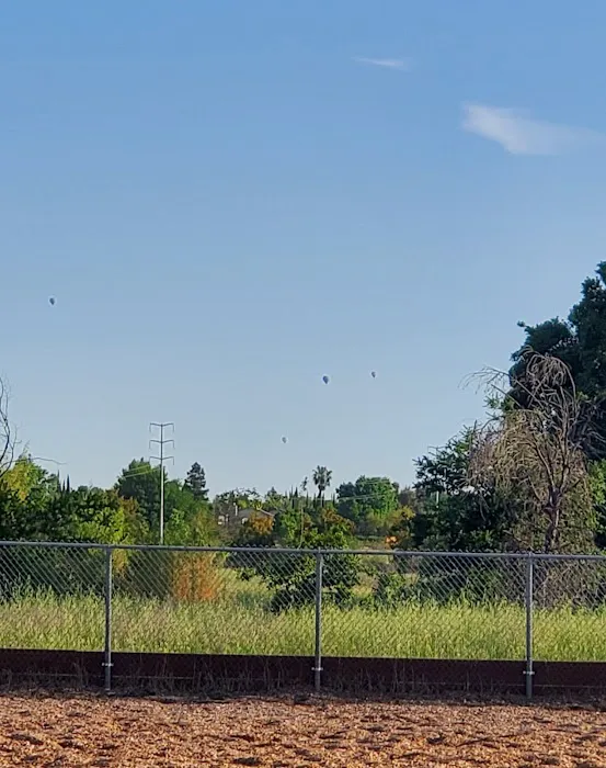 Centennial Dog Park 6
