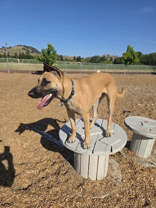 Centennial Dog Park 10