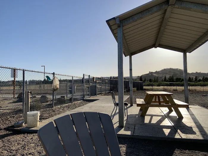 Centennial Dog Park 3