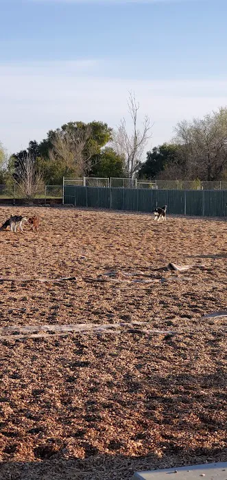Centennial Dog Park 5