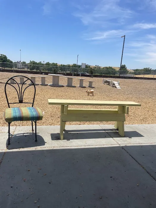 Centennial Dog Park 7