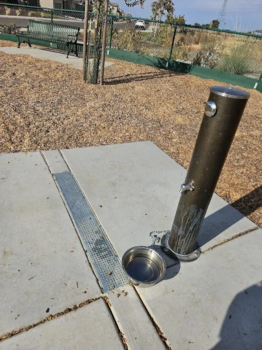 Owl Park Off-Leash Facility 6