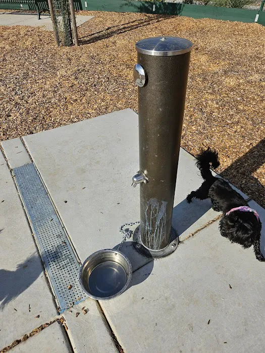 Owl Park Off-Leash Facility 8