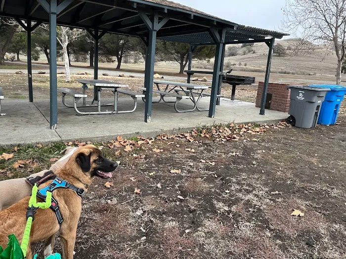 Lagoon Park Dog Park 2