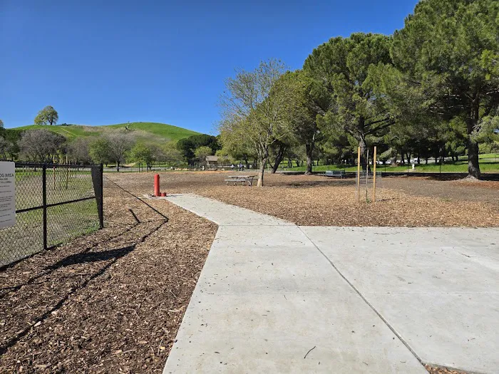 Lagoon Park Dog Park 3