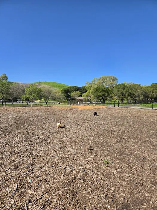 Lagoon Park Dog Park 4
