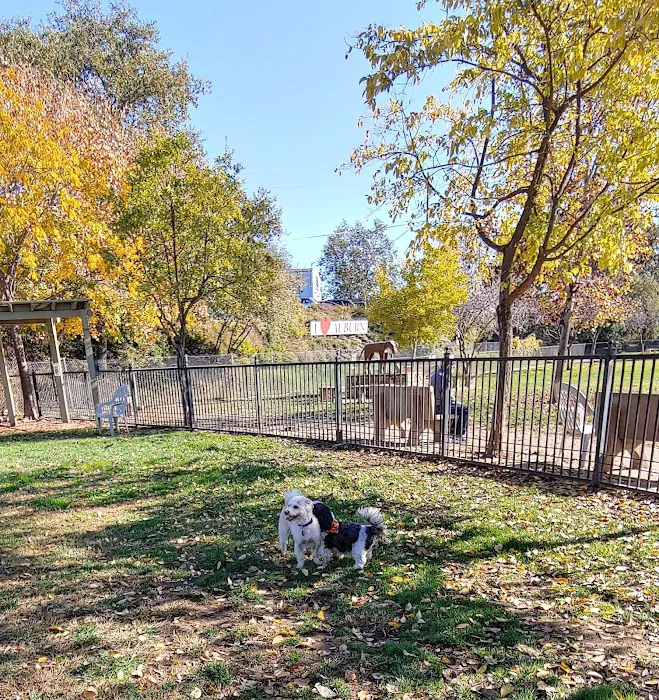 Ashley Off Leash Dog Park 7