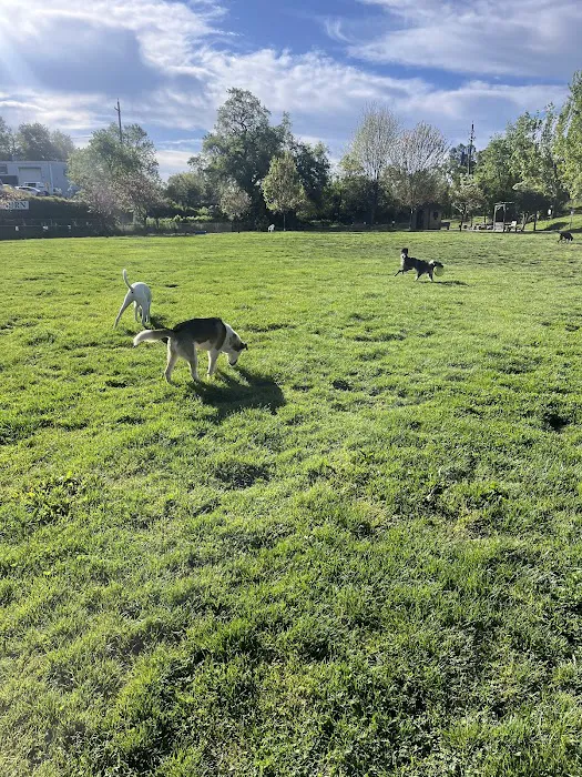 Ashley Off Leash Dog Park 10